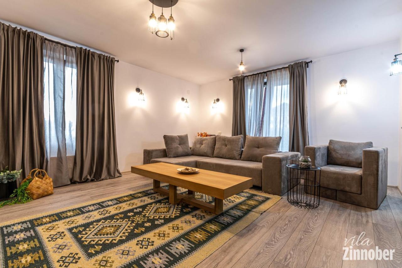 Vila Zinnober Брашов Экстерьер фото