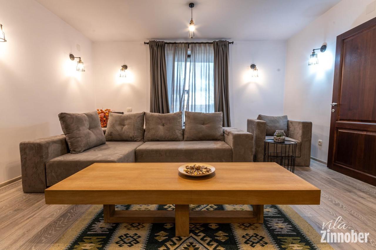 Vila Zinnober Брашов Экстерьер фото
