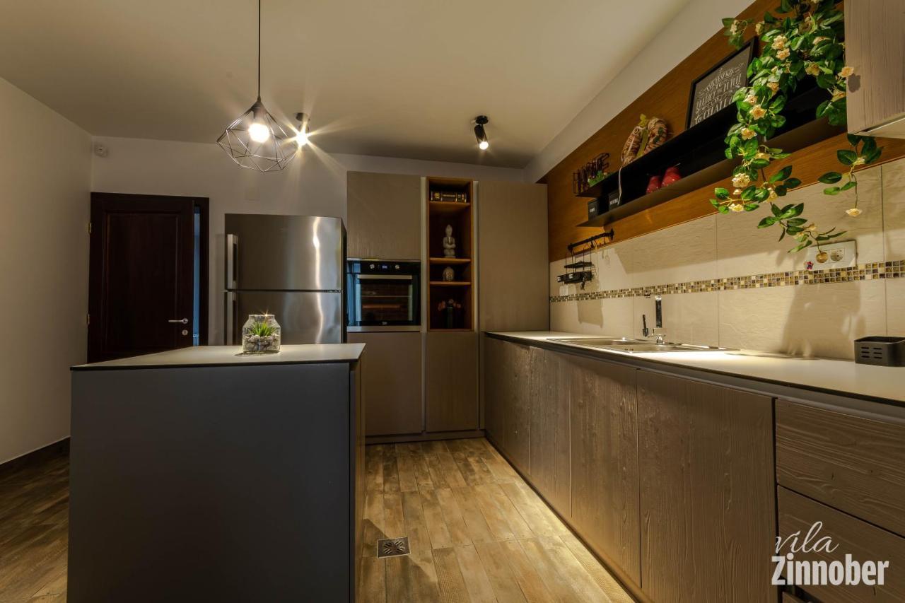 Vila Zinnober Брашов Экстерьер фото