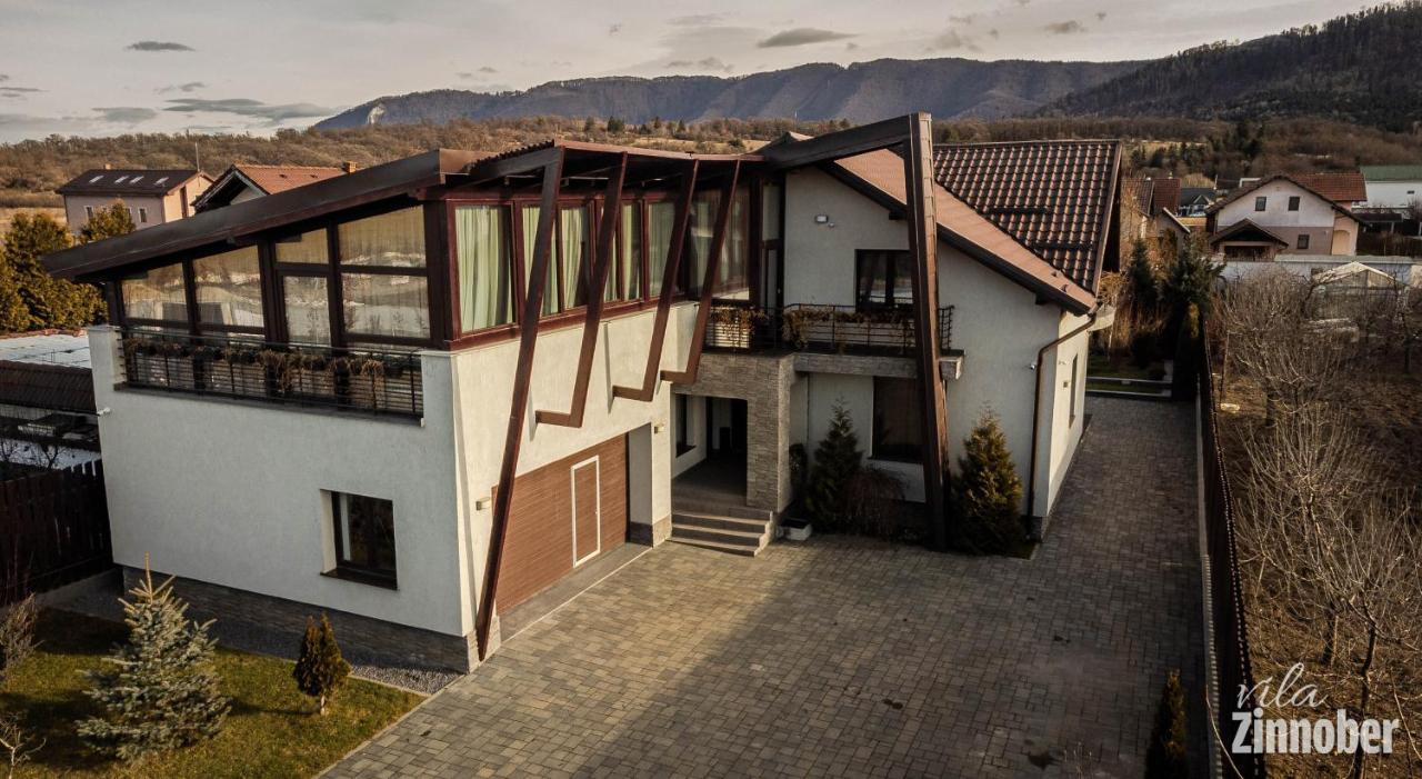 Vila Zinnober Брашов Экстерьер фото