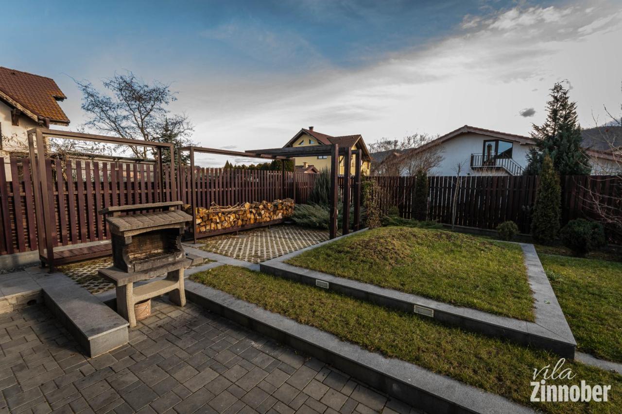Vila Zinnober Брашов Экстерьер фото